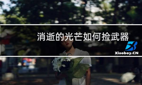消逝的光芒如何捡武器