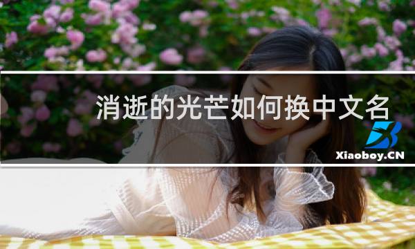 消逝的光芒如何换中文名