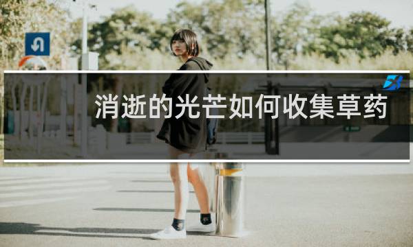 消逝的光芒如何收集草药