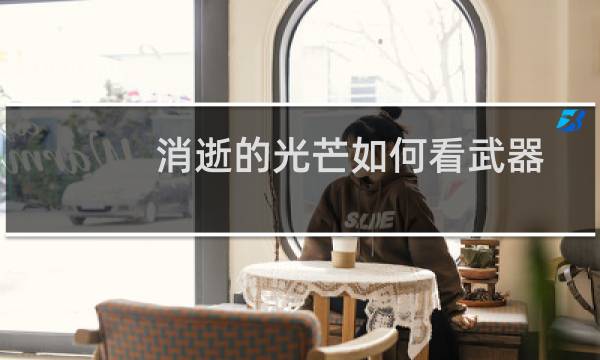消逝的光芒如何看武器