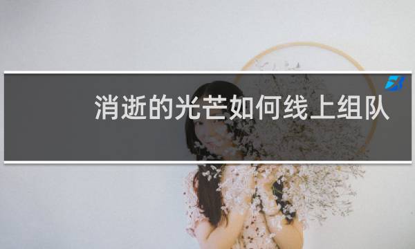 消逝的光芒如何线上组队
