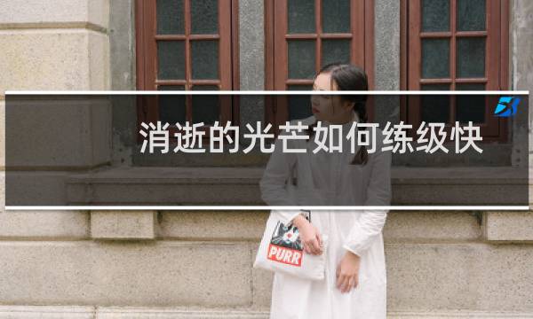 消逝的光芒如何练级快