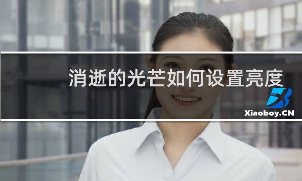 消逝的光芒如何设置亮度