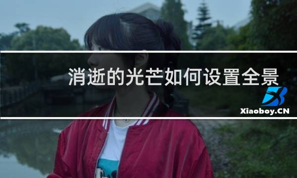 消逝的光芒如何设置全景