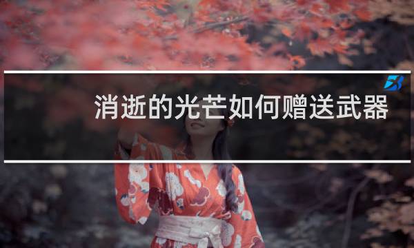 消逝的光芒如何赠送武器