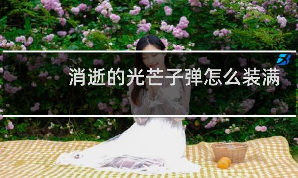 消逝的光芒子弹怎么装满
