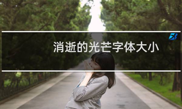 消逝的光芒字体大小
