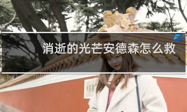 消逝的光芒安德森怎么救