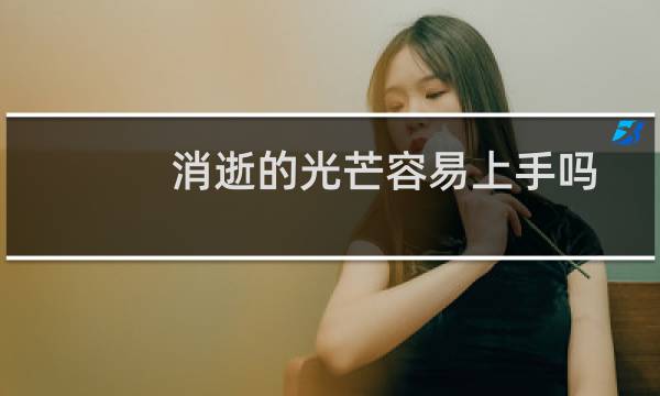 消逝的光芒容易上手吗