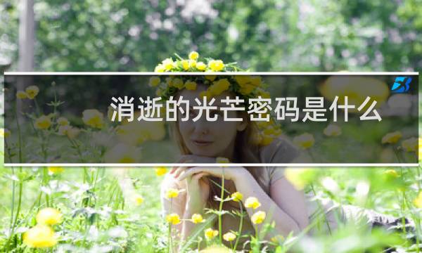 消逝的光芒密码是什么