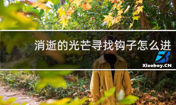 消逝的光芒寻找钩子怎么进