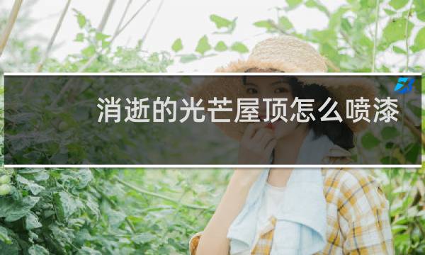 消逝的光芒屋顶怎么喷漆