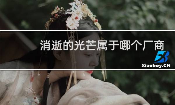 消逝的光芒属于哪个厂商