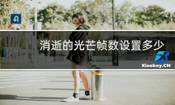 消逝的光芒帧数设置多少