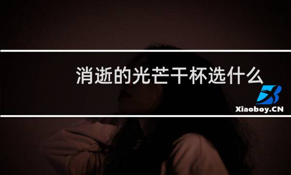 消逝的光芒干杯选什么