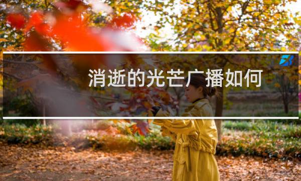 消逝的光芒广播如何