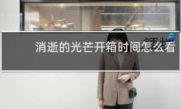消逝的光芒开箱时间怎么看