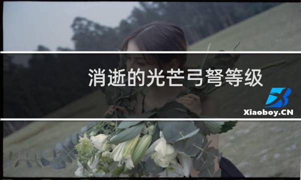 消逝的光芒弓弩等级