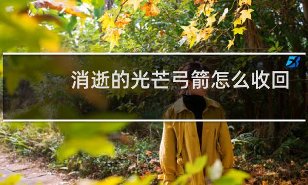 消逝的光芒弓箭怎么收回