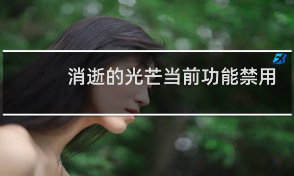 消逝的光芒当前功能禁用