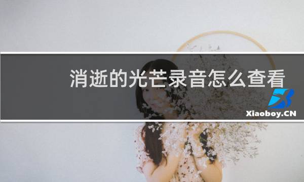 消逝的光芒录音怎么查看