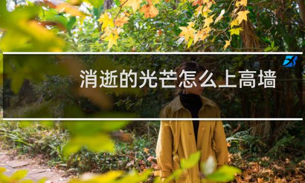 消逝的光芒怎么上高墙