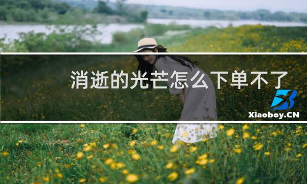 消逝的光芒怎么下单不了