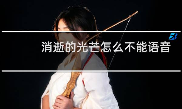 消逝的光芒怎么不能语音