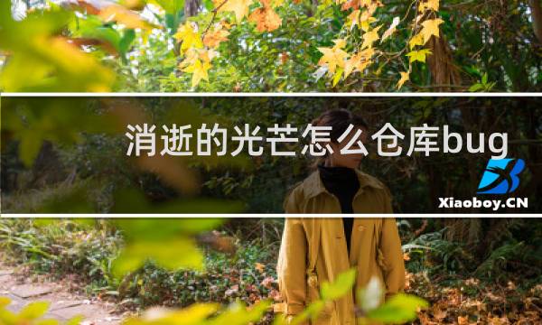 消逝的光芒怎么仓库bug