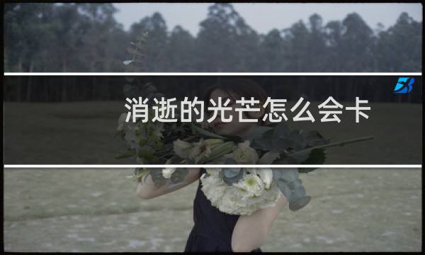 消逝的光芒怎么会卡