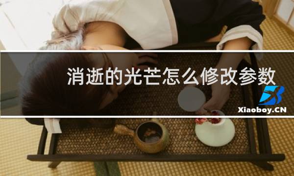 消逝的光芒怎么修改参数