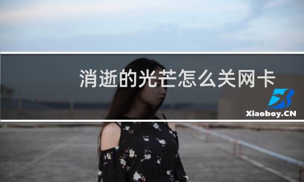 消逝的光芒怎么关网卡