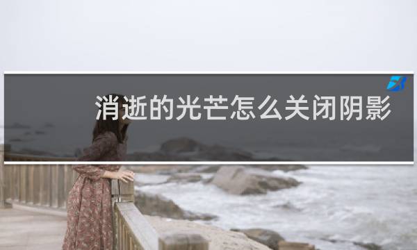 消逝的光芒怎么关闭阴影