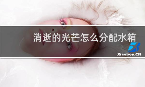 消逝的光芒怎么分配水箱