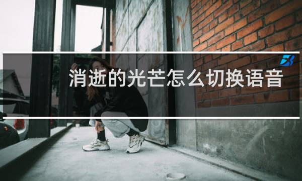 消逝的光芒怎么切换语音
