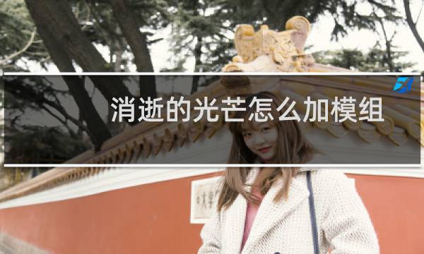 消逝的光芒怎么加模组