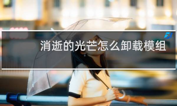 消逝的光芒怎么卸载模组