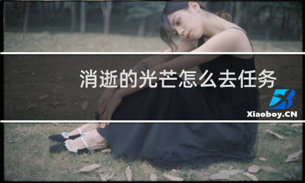 消逝的光芒怎么去任务