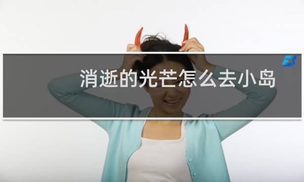 消逝的光芒怎么去小岛
