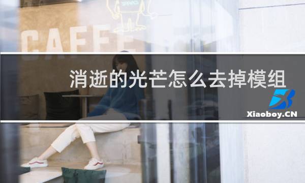 消逝的光芒怎么去掉模组