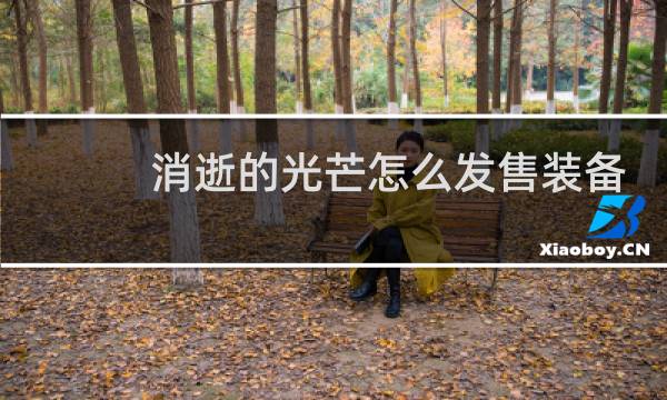 消逝的光芒怎么发售装备