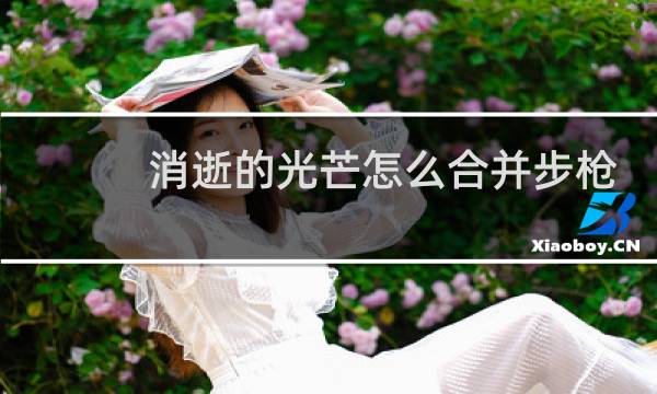 消逝的光芒怎么合并步枪