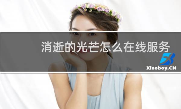消逝的光芒怎么在线服务
