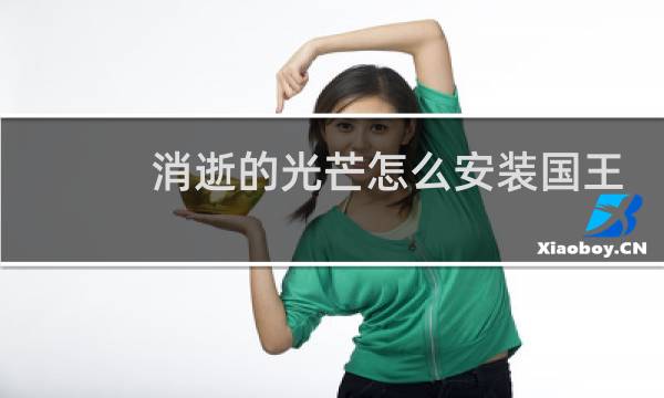 消逝的光芒怎么安装国王