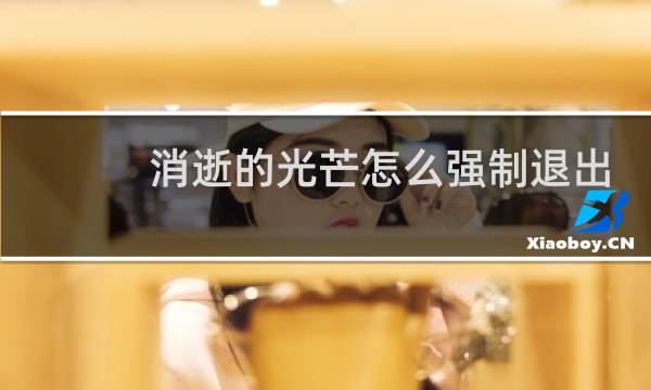 消逝的光芒怎么强制退出