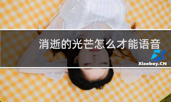 消逝的光芒怎么才能语音