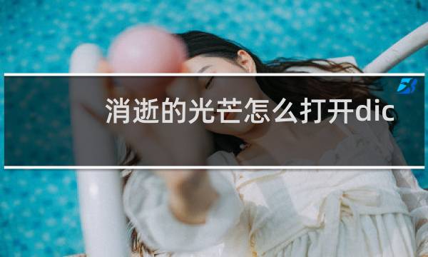 消逝的光芒怎么打开dic