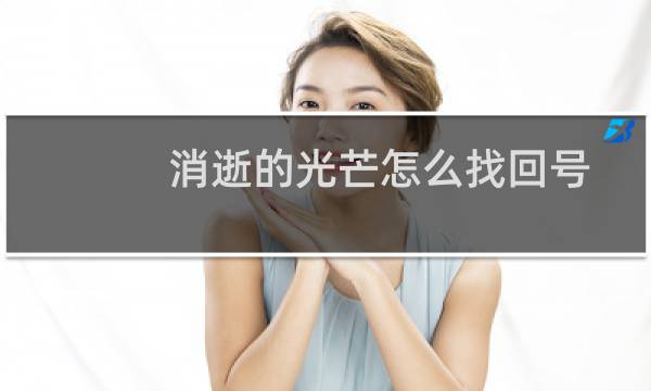 消逝的光芒怎么找回号