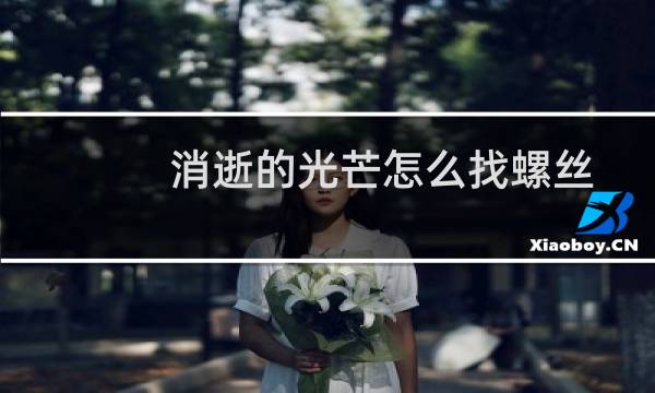 消逝的光芒怎么找螺丝