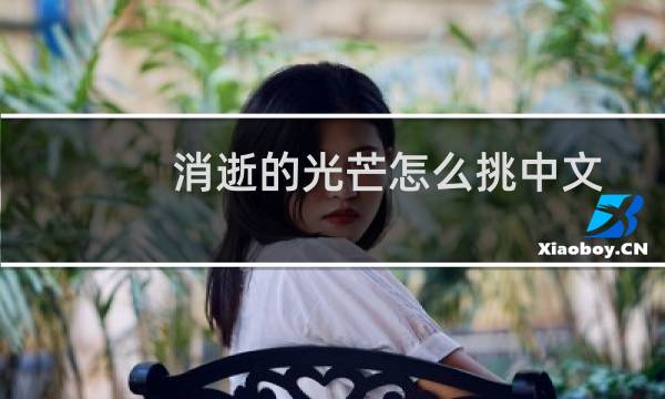 消逝的光芒怎么挑中文